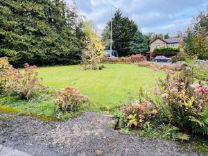 Photo 2- click for photo gallery